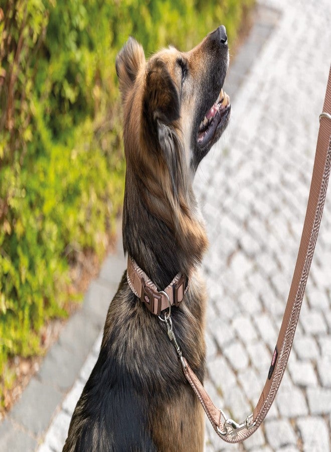 TRIXIE Premium Collar with Neoprene Padding, Extra Wide, Softline Elegance Collar for Dogs, Fully Adjustable Collar, Strain-Relieved Buckle (M-L, Boho Diamond/Caramel), 42 x 2 cm - Image 5